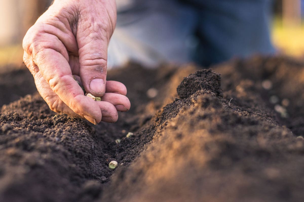 Planting Services
