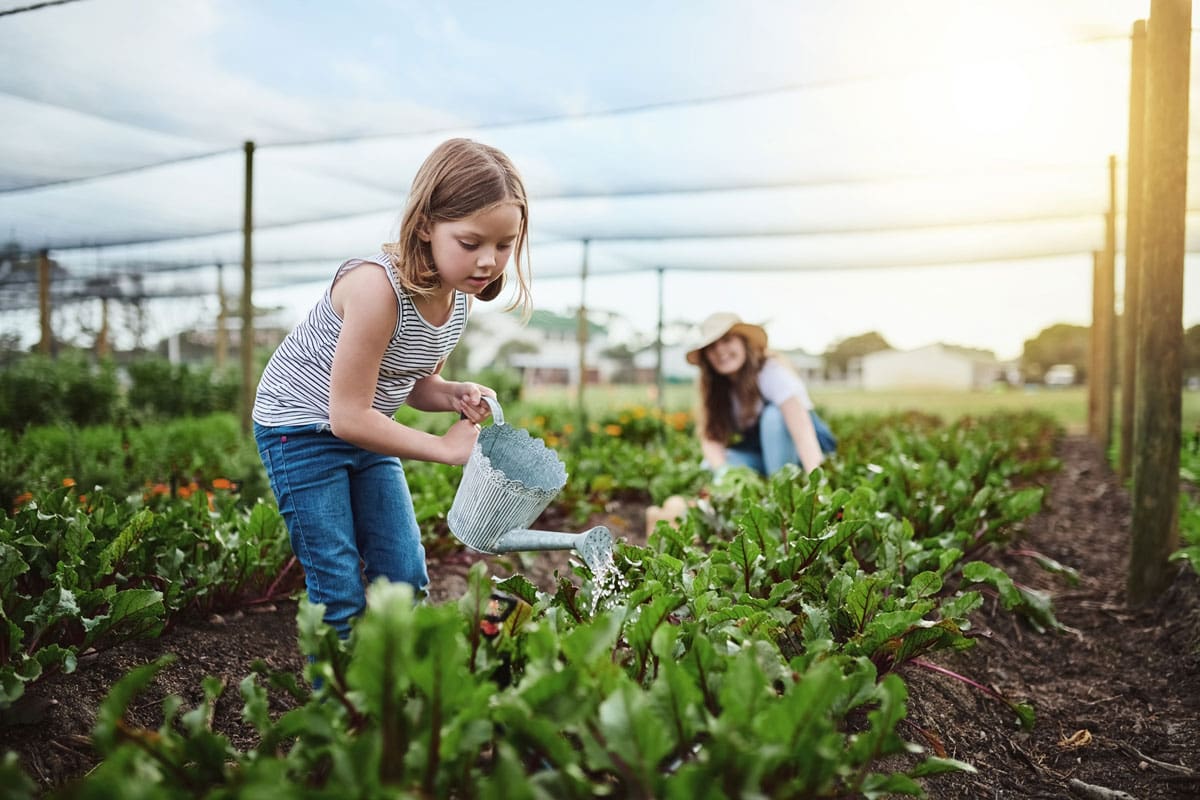 Agricultural Services